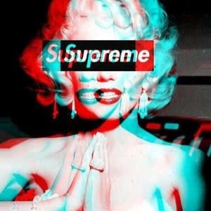 Meet your Posher, Perrito